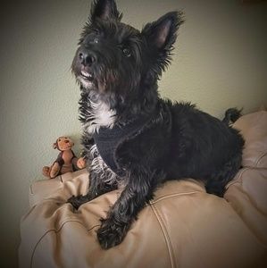 Meet your Posher, Wilfredo